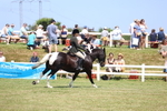 3E7A8902