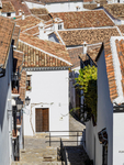 Andalucia 6  -89