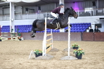 SBM_004437_Class 11 - Senior  Foxhunter - 120m Open