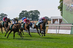 160726-Race 4-Park Lane Penny-4673