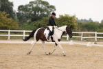 SBM_01793