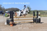BPP_6035