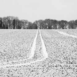 Dusted field