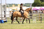 SBM_15036