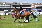 BPP_9047