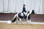 SBM_004782