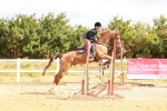 SBM_004881