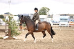 SBM_00330