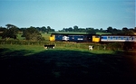 18th August 1991