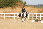 SBM_016771