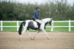 SBM_003481