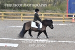 BPP_8560