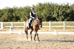 SBM_007866