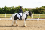 SBM_006990