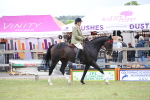 SBM_11385