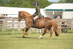 SBM_09782