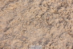 250629-185817-14061