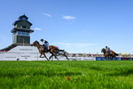 120826-Race 5-Ciao Capo-5184