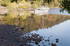 Autumn Reflections