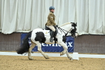SBM_007106