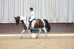 SBM_009800