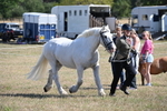 WJ6_4536