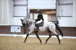 SBM_02455