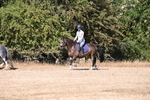 WJ6_7806