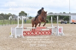 BPP_0446
