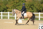 SBM_001435