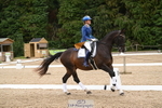 Petplan Summer Area Festival 18-20 - Click to Enter portfolio