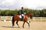 SBM_003652