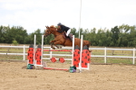 SBM_026955