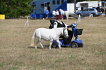 WJ6_6796