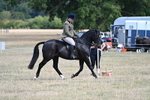 WJ7_6134
