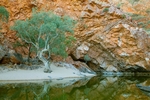 Ormiston gorge West MacDonnell Ranges