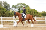 SBM_006533