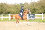 SBM_001690