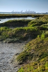 <center>Felixstowe's Docks</center>