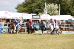 SBM_16571