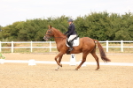 SBM_000726