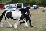 WJ6_6526