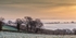 Feburary Sunrise