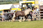 SBM_08766