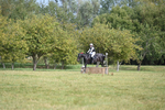 WJ6_1175