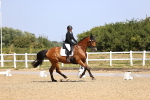 SBM_009446
