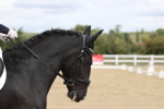 SBM_002956