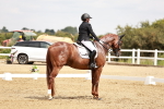 SBM_003596
