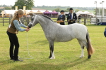 SBM_00422