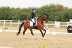 SBM_009204